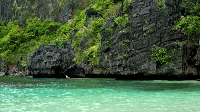 Backdrop from Casados no Paraíso