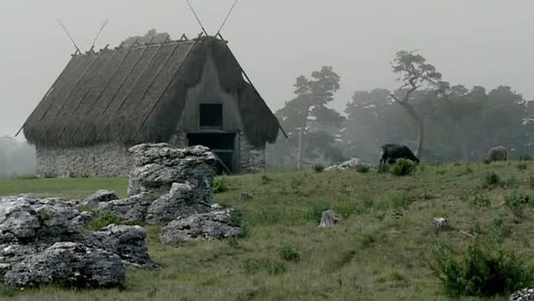 Backdrop from Bergman Island