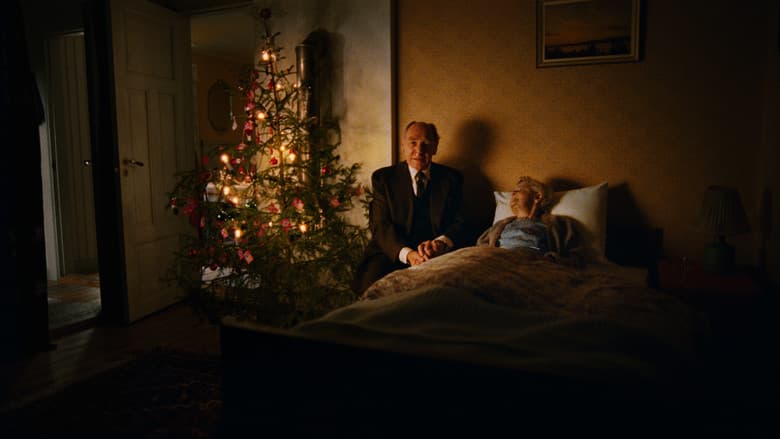 Backdrop from Home for Christmas