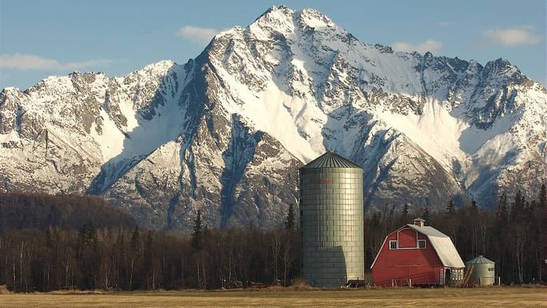 Backdrop from Alaska Far Away