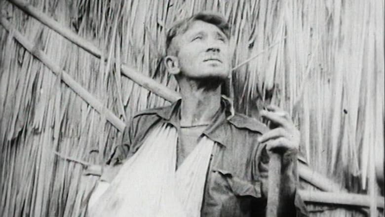 Backdrop from Kokoda Front Line!