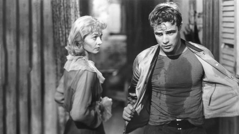 Backdrop from A Streetcar Named Desire