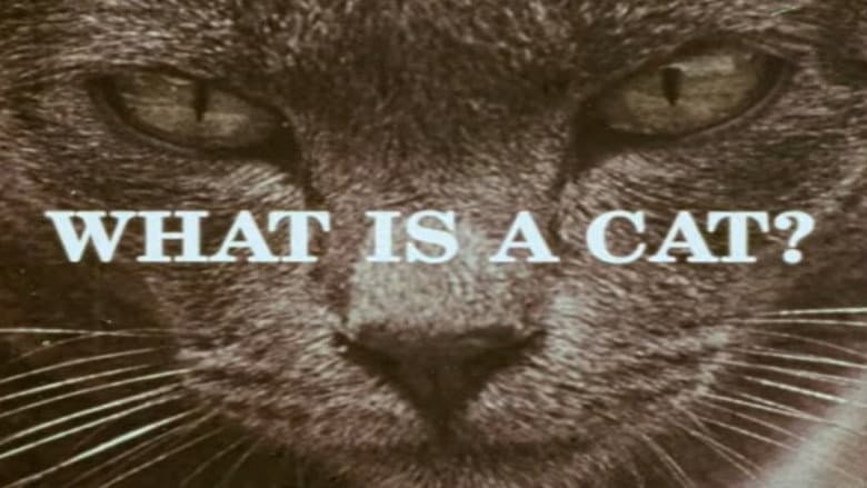 Backdrop from What Is a Cat?