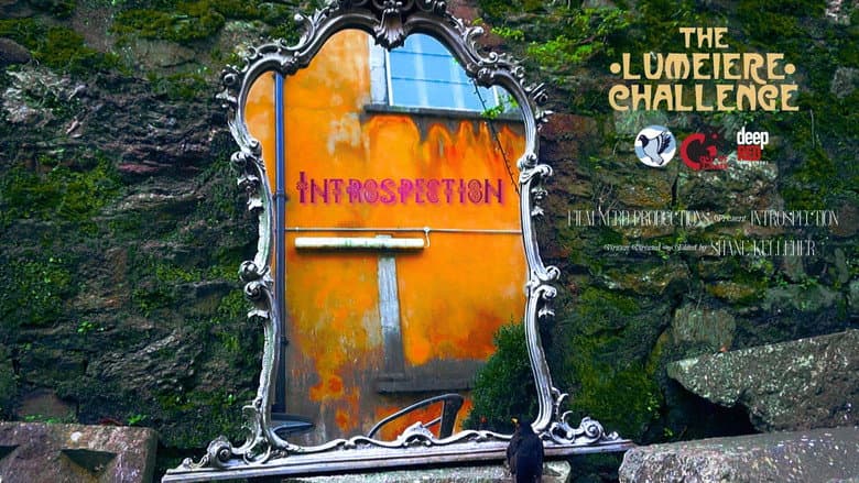 Backdrop from Introspection