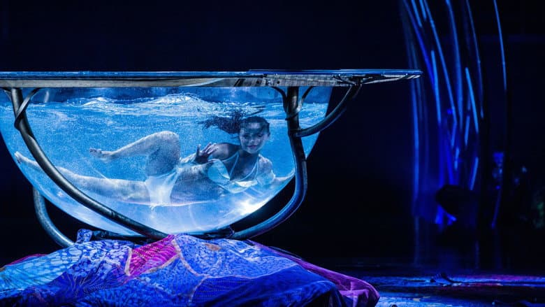 Backdrop from Cirque du Soleil: Amaluna