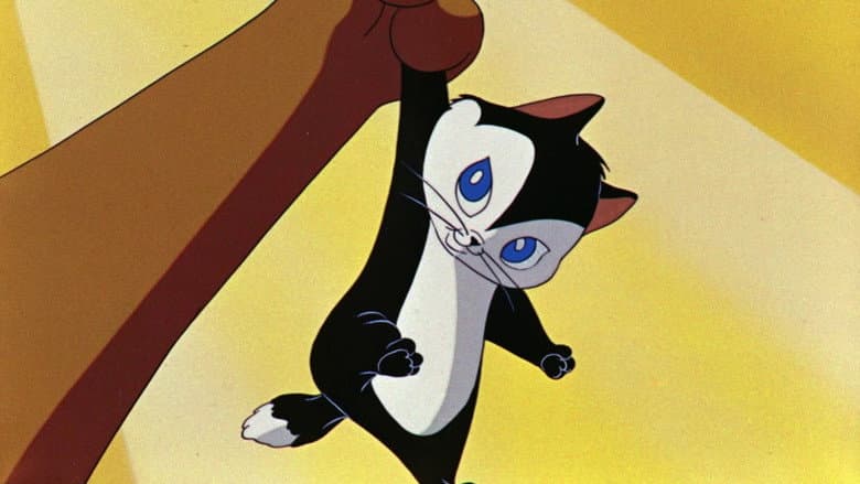 Backdrop from Kiss Me Cat