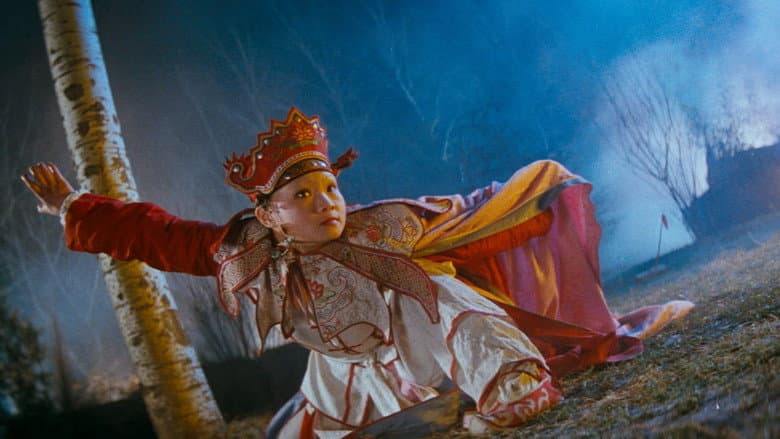 Backdrop from Once Upon a Time in China IV