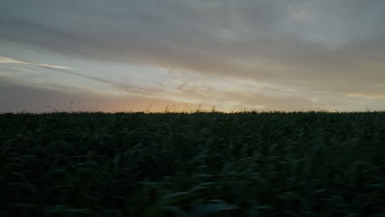 Backdrop from The Shape of Absence
