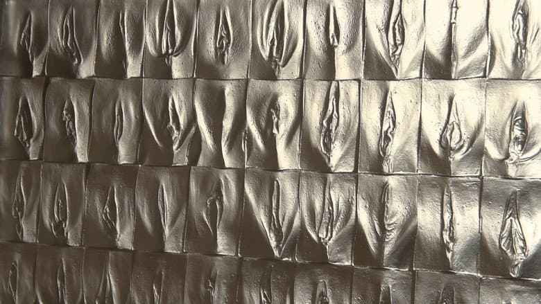 Backdrop from The Perfect Vagina