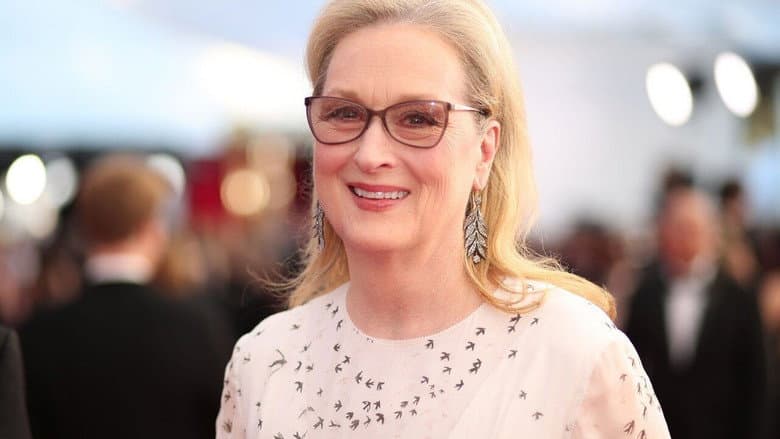 Backdrop from Meryl Streep: Mystery and Metamorphosis