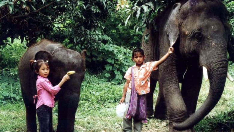 Backdrop from The Elephant Boy