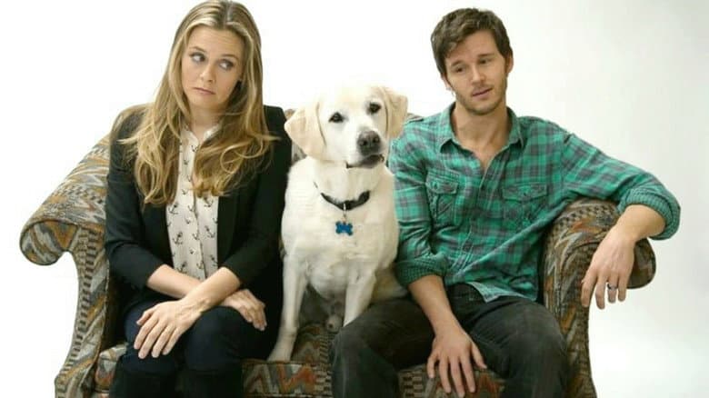 Backdrop from Who Gets the Dog?