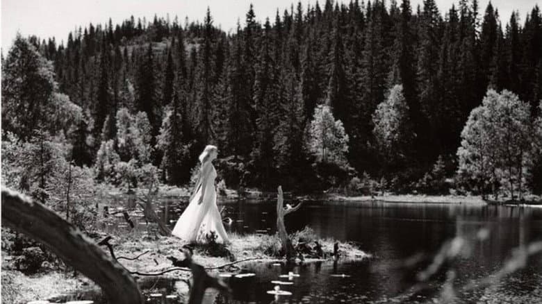 Backdrop from Lake of the Dead