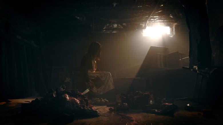 Кадр із фільму «Tales from the Blood Fairies»