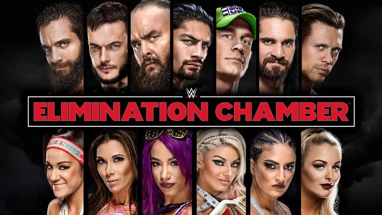 Backdrop from WWE Elimination Chamber 2018