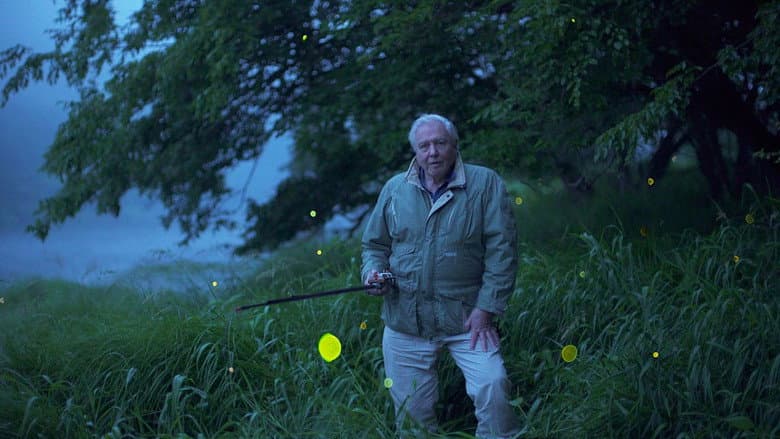 Backdrop from Attenborough's Life That Glows