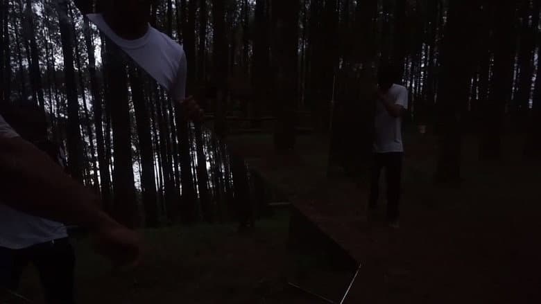 Backdrop from In The Pines