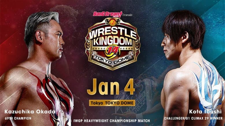 Backdrop from NJPW Wrestle Kingdom 14: Night 1