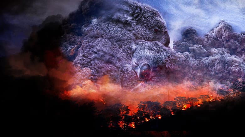 Backdrop from Wild Australia: After the Fires