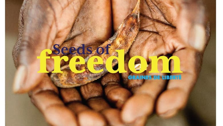 Backdrop from Seeds of Freedom