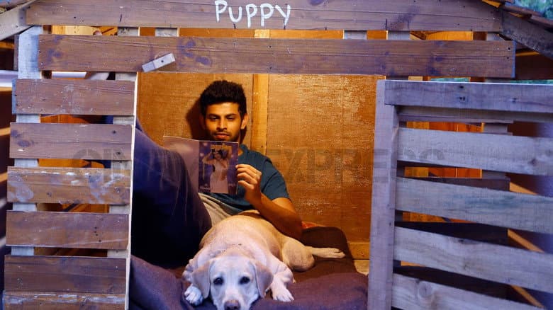 Backdrop from Puppy