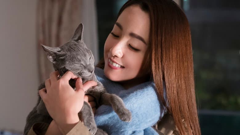 Backdrop from The Cat in Their Arms