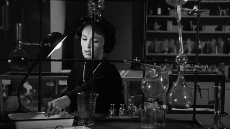 Backdrop from The Wasp Woman