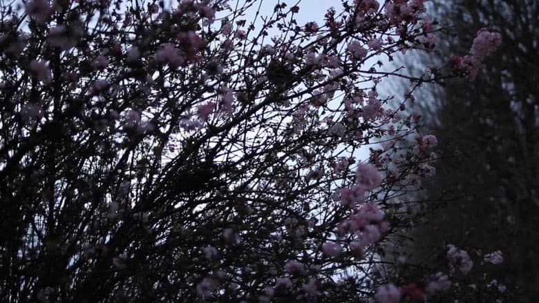 Backdrop from It May Be That Beauty Has Strengthened Our Resolve - Masao Adachi