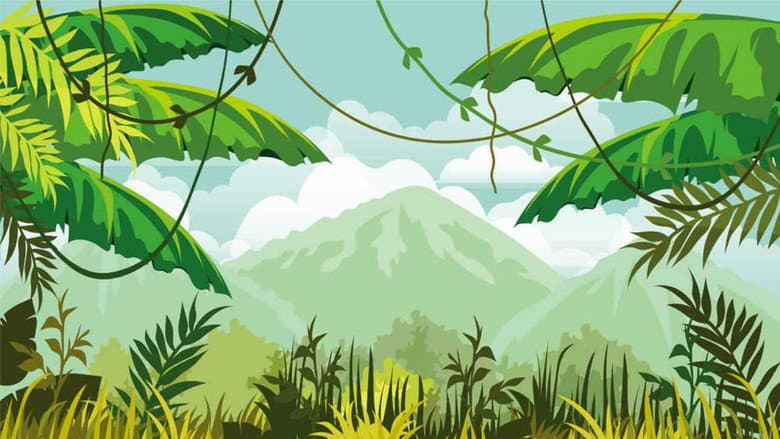 Backdrop from Wild Cargo
