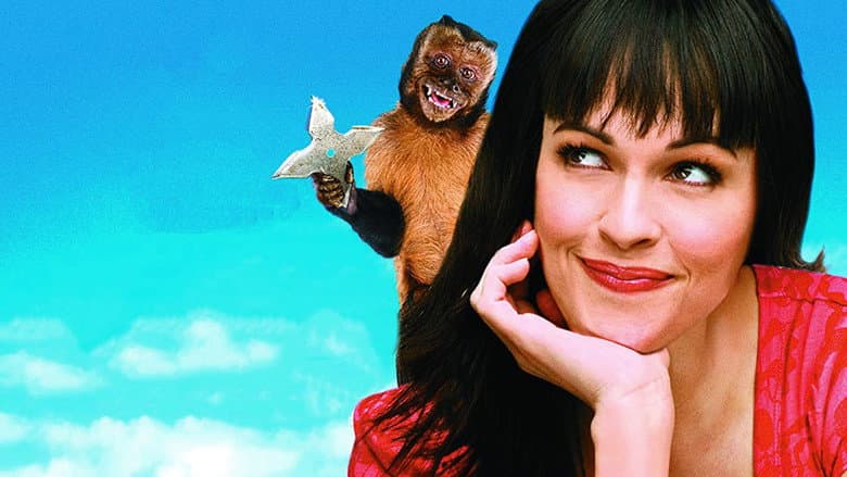 Backdrop from Who's Your Monkey?