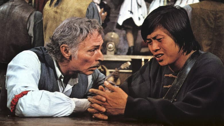 Backdrop from The Stranger and the Gunfighter