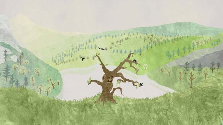 Backdrop from About a Tree