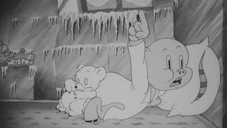 Backdrop from Polar Pals