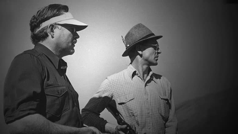 Backdrop from Cooper and Hemingway: The True Gen