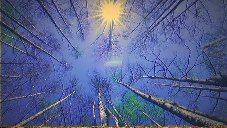 Backdrop from Cologne: artificial (Labajura Remix)