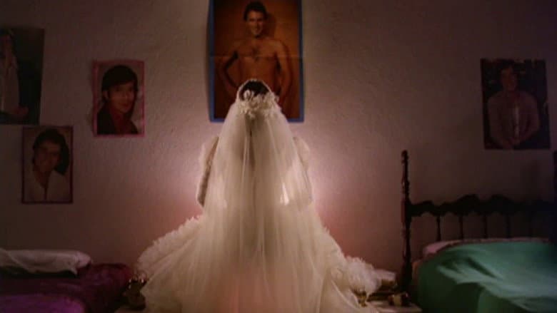 Backdrop from The Woman Who Invented Love
