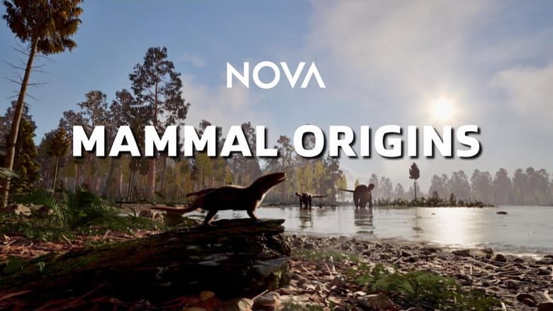Backdrop from Mammal Origins
