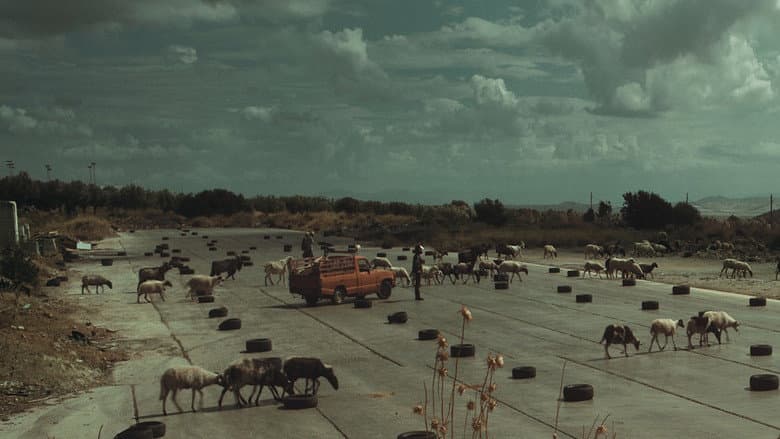 Backdrop from The Future is an Elder Cow