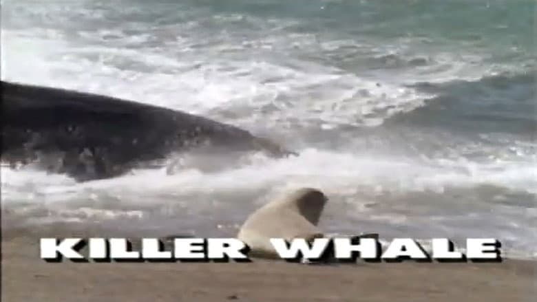 Backdrop from Predators of the Wild: Killer Whale
