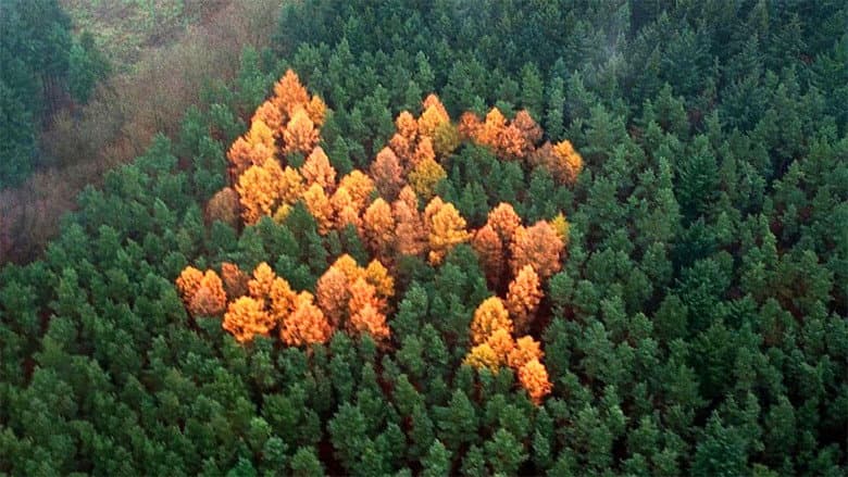 Backdrop from The Story of the Swastika