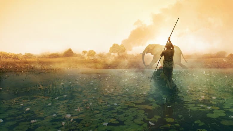 Backdrop from Into the Okavango