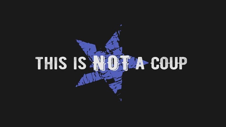 Backdrop from This Is Not a Coup