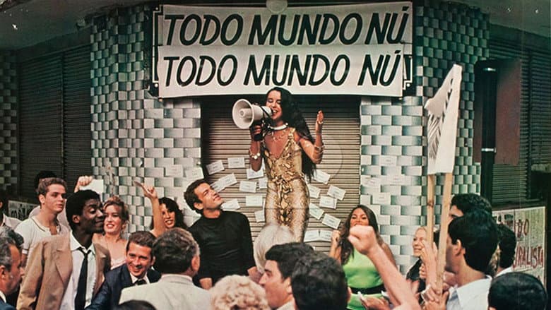 Backdrop from Luz Del Fuego