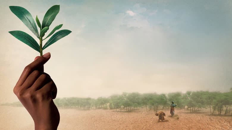 Backdrop from The Great Green Wall