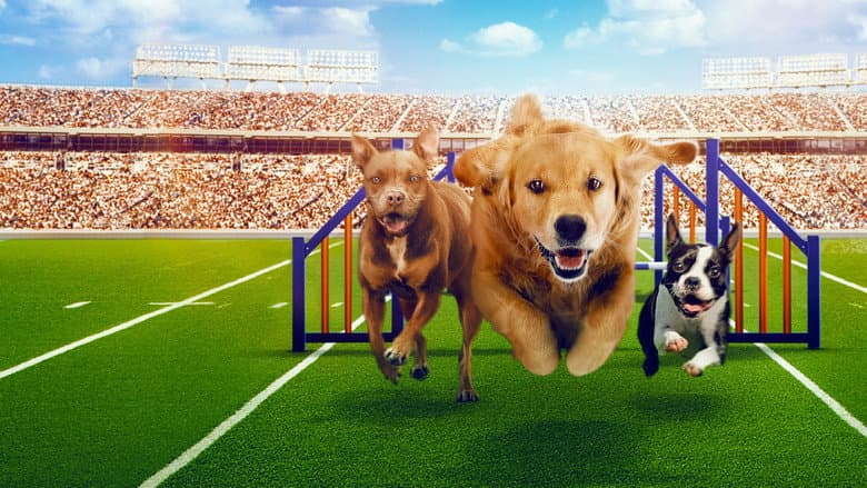 Backdrop from Puppy Bowl Presents: The Dog Games
