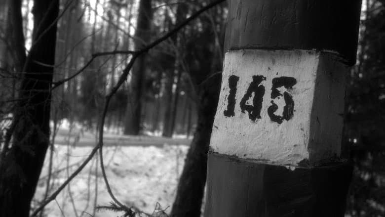Backdrop from 145-ый км